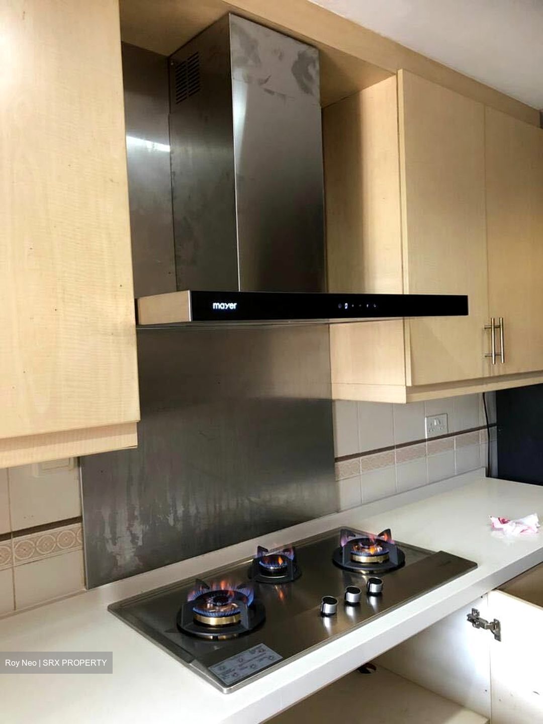 Maplewoods (D21), Condominium #559259821